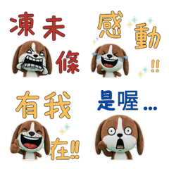 Moving Taiwanese Pointer 34