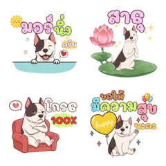 บูลเทอร์เรีย มาเฟียหน้ามึน