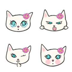 40Beautiful cat  faces