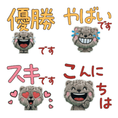 Polite Pallas's cat 11