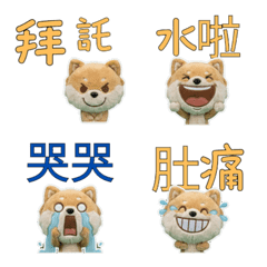 Moving Taiwanese Pomchi 34