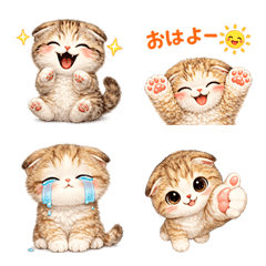 蘇格蘭摺耳貓反應表情貼