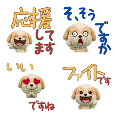 Moving Polite Pomapoo 12