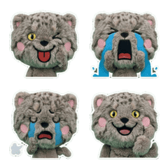 Moving Pallas's cat 8th