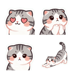 Fluffy Scottish Fold: Round & Soft