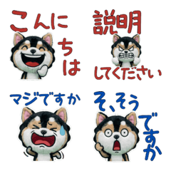 Moving Polite Pomsky 12