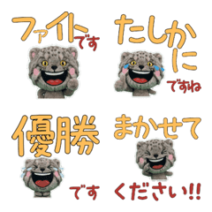 Moving Polite Pallas's cat 12