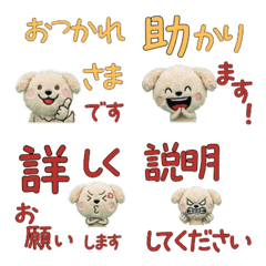 Moving Polite Maltipoo 12