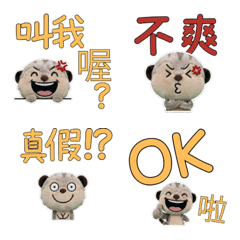 Taiwanese Meerkat 33