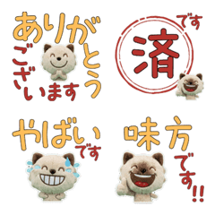 Moving Polite Minuet Cat 12