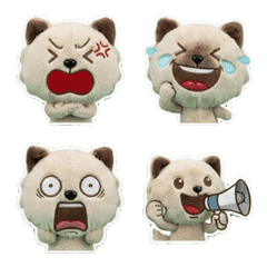 Moving Minuet Cat 8th