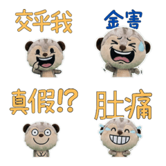 Moving Taiwanese Meerkat 34