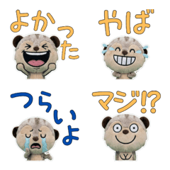 Moving Plush Meerkat 10