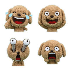 ตุ๊กตาลาบราดูเดิ้ล 7th