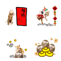 Happy New Year-1-2-552