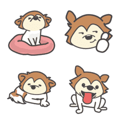 Move!Papillon Hime is always sleepy