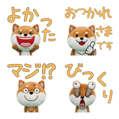 Plush Mame Shiba 9th