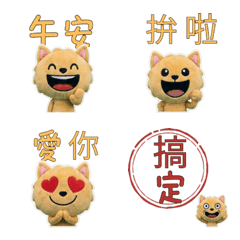 Taiwanese Labrador 33