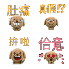 Taiwanese Labradoodle 33