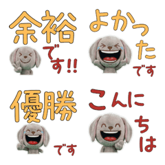 Polite Weimaraner 11