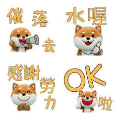 Taiwanese Mame Shiba 33