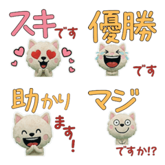 Animated Polite LaPerm 12