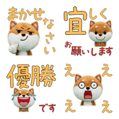 มาเมะชิบะ คำสุภาพ ขยับได้ 12