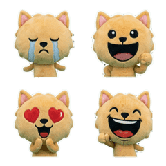 ลาบราดอร์ ขยับได้ 8th