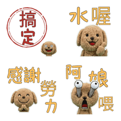 ลาบราดูเดิ้ล ไต้หวัน ขยับได้ 34