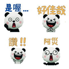 Taiwanese Black Panda 33