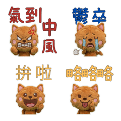 นอร์ฟอล์ก เทอร์เรีย ภาษาไต้หวัน 33