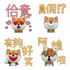 มาเมะชิบะ ไต้หวัน ขยับได้ 34