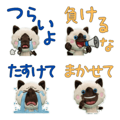 ตุ๊กตา แมวบาลิเนส 9th