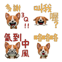 บาเซนจิ ภาษาไต้หวัน 33