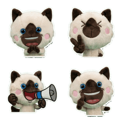 ตุ๊กตา แมวบาลิเนส 7th