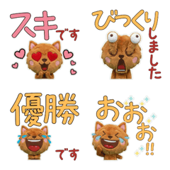 นอร์ฟอล์ก เทอร์เรีย สุภาพ 11