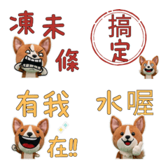 Animated Taiwan Basenji 34