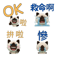 Animated Taiwan Balinese 34