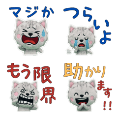 ตุ๊กตา เบอร์มิลลา 9th