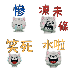 เบอร์มิลลา ภาษาไต้หวัน 33