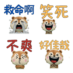 Animated Taiwan Prairie Dog 34