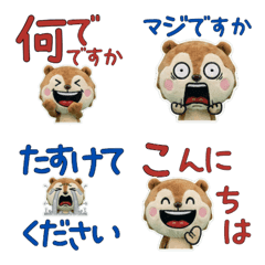 Polite Prairie Dog 11