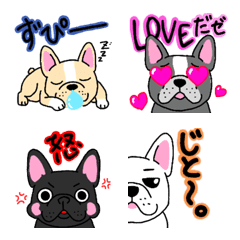 Happy french bulldog 01