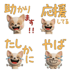 Moving Smooth Chihuahua 28