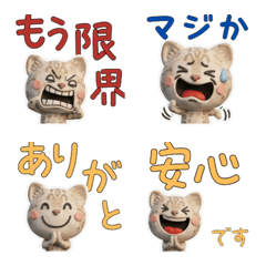 Moving Snow Bengal Cat 28