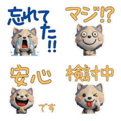 Moving Dilute Calico Cat 28