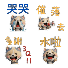 Moving TW Dilute Calico 40