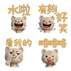 Taiwanese Snow Bengal 39