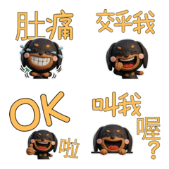 Moving TW Black & Tan Dachshund 40