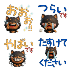 Moving Black & Tan Pomeranian 30